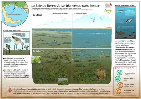 Littoral-poster-A1final-compresse