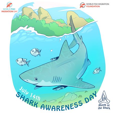 SharkAwarenessDay-cartoon